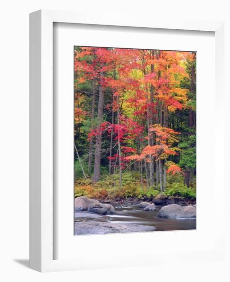 Autumn in the Adirondack Mountains, New York, Usa-Christopher Talbot Frank-Framed Photographic Print