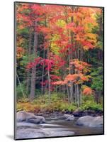 Autumn in the Adirondack Mountains, New York, Usa-Christopher Talbot Frank-Mounted Photographic Print