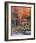 Autumn in the Adirondack Mountains, New York, Usa-Christopher Talbot Frank-Framed Premium Photographic Print