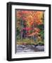 Autumn in the Adirondack Mountains, New York, Usa-Christopher Talbot Frank-Framed Premium Photographic Print