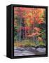 Autumn in the Adirondack Mountains, New York, Usa-Christopher Talbot Frank-Framed Stretched Canvas