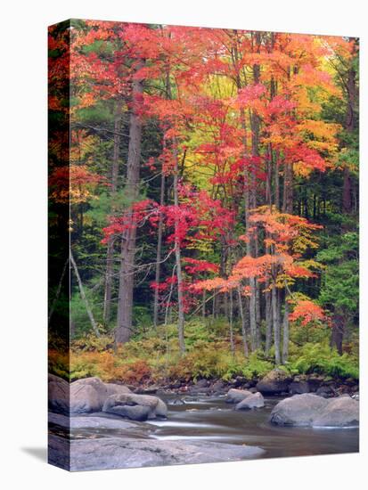 Autumn in the Adirondack Mountains, New York, Usa-Christopher Talbot Frank-Stretched Canvas