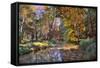 Autumn in the Afternoon-John Rivera-Framed Stretched Canvas