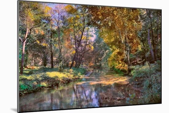 Autumn in the Afternoon-John Rivera-Mounted Photographic Print