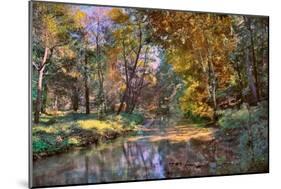 Autumn in the Afternoon-John Rivera-Mounted Photographic Print