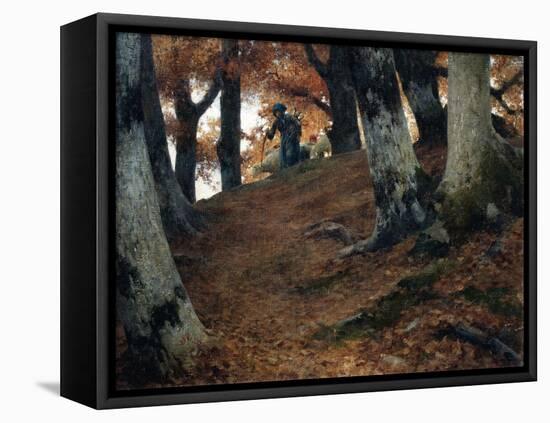 Autumn in the Beech Woods, 1902-Stefano Bruzzi-Framed Stretched Canvas