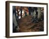 Autumn in the Beech Woods, 1902-Stefano Bruzzi-Framed Giclee Print