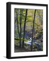 Autumn in the Bodetal, Harz National Park, Saxony-Anhalt, Germany-Michael Jaeschke-Framed Photographic Print