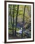 Autumn in the Bodetal, Harz National Park, Saxony-Anhalt, Germany-Michael Jaeschke-Framed Photographic Print