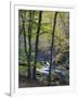 Autumn in the Bodetal, Harz National Park, Saxony-Anhalt, Germany-Michael Jaeschke-Framed Photographic Print