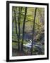 Autumn in the Bodetal, Harz National Park, Saxony-Anhalt, Germany-Michael Jaeschke-Framed Photographic Print