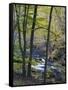 Autumn in the Bodetal, Harz National Park, Saxony-Anhalt, Germany-Michael Jaeschke-Framed Stretched Canvas