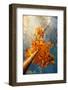 Autumn in the City-Philippe Sainte-Laudy-Framed Photographic Print