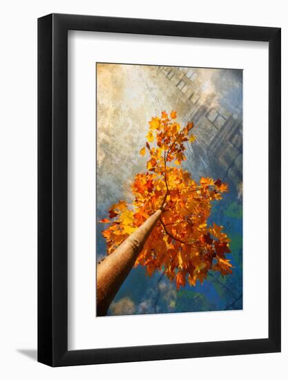 Autumn in the City-Philippe Sainte-Laudy-Framed Photographic Print