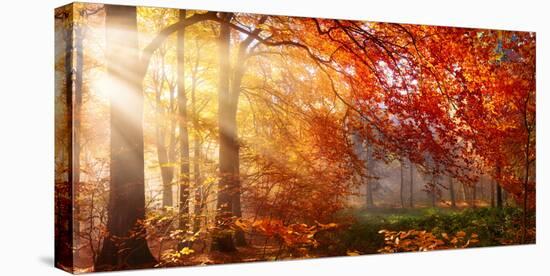 Autumn in the Forest, Sunrays Fall Through Mist and a Beautiful Red Tree-Smileus Images-Stretched Canvas