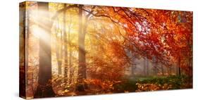 Autumn in the Forest, Sunrays Fall Through Mist and a Beautiful Red Tree-Smileus Images-Stretched Canvas