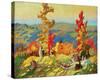 Autumn in the Northland-Franklin Carmichael-Stretched Canvas