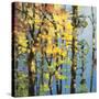 Autumn in the Olympics-Max Hayslette-Stretched Canvas