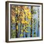 Autumn in the Olympics-Max Hayslette-Framed Giclee Print