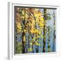 Autumn in the Olympics-Max Hayslette-Framed Giclee Print