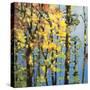 Autumn in the Olympics-Max Hayslette-Stretched Canvas