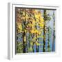 Autumn in the Olympics-Max Hayslette-Framed Giclee Print