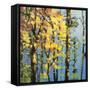 Autumn in the Olympics-Max Hayslette-Framed Stretched Canvas