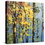 Autumn in the Olympics-Max Hayslette-Stretched Canvas