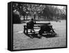 Autumn in the Park-null-Framed Stretched Canvas