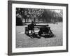 Autumn in the Park-null-Framed Photographic Print