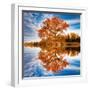 Autumn in the Reflection-Philippe Sainte-Laudy-Framed Photographic Print