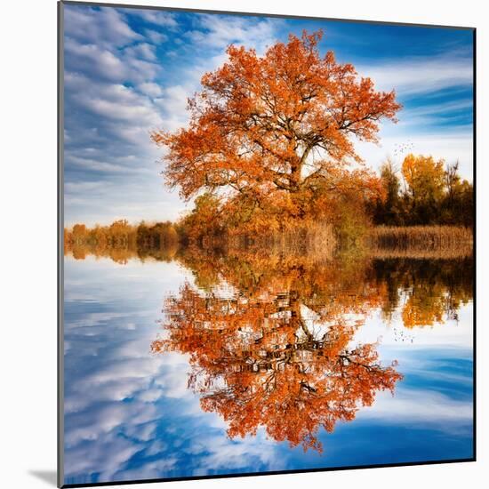 Autumn in the Reflection-Philippe Sainte-Laudy-Mounted Photographic Print