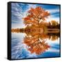 Autumn in the Reflection-Philippe Sainte-Laudy-Framed Stretched Canvas