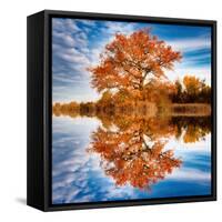Autumn in the Reflection-Philippe Sainte-Laudy-Framed Stretched Canvas