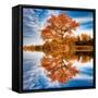 Autumn in the Reflection-Philippe Sainte-Laudy-Framed Stretched Canvas