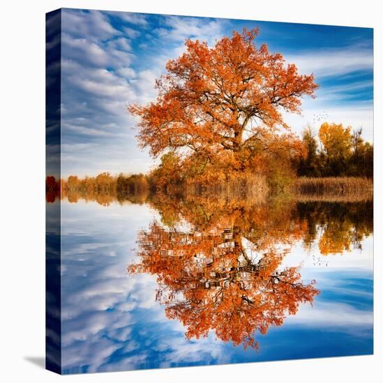 Autumn in the Reflection-Philippe Sainte-Laudy-Stretched Canvas