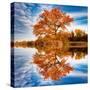 Autumn in the Reflection-Philippe Sainte-Laudy-Stretched Canvas