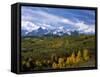 Autumn in the San Juan Mountains-James Randklev-Framed Stretched Canvas