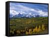 Autumn in the San Juan Mountains-James Randklev-Framed Stretched Canvas