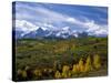 Autumn in the San Juan Mountains-James Randklev-Stretched Canvas