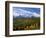 Autumn in the San Juan Mountains-James Randklev-Framed Photographic Print