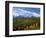 Autumn in the San Juan Mountains-James Randklev-Framed Photographic Print