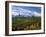 Autumn in the San Juan Mountains-James Randklev-Framed Photographic Print