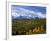 Autumn in the San Juan Mountains-James Randklev-Framed Photographic Print