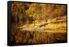 Autumn in the Scottish Highlands, Scotland, United Kingdom, Europe-Karen Deakin-Framed Stretched Canvas