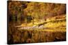 Autumn in the Scottish Highlands, Scotland, United Kingdom, Europe-Karen Deakin-Stretched Canvas