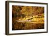 Autumn in the Scottish Highlands, Scotland, United Kingdom, Europe-Karen Deakin-Framed Photographic Print