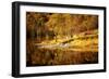 Autumn in the Scottish Highlands, Scotland, United Kingdom, Europe-Karen Deakin-Framed Photographic Print