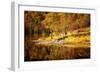 Autumn in the Scottish Highlands, Scotland, United Kingdom, Europe-Karen Deakin-Framed Photographic Print