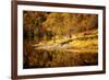 Autumn in the Scottish Highlands, Scotland, United Kingdom, Europe-Karen Deakin-Framed Photographic Print